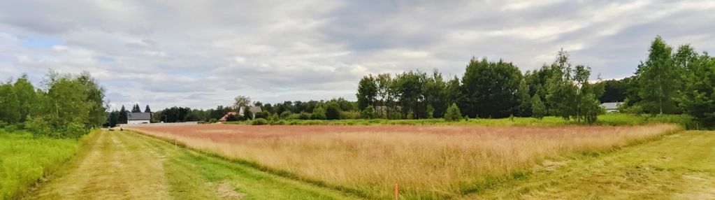 3 atrakcyjne działki budowlane obok lasu / 1000 m2