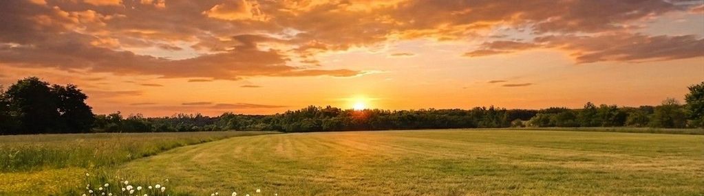 Twój azyl pod strykowem – 4760 m² ciszy i natury