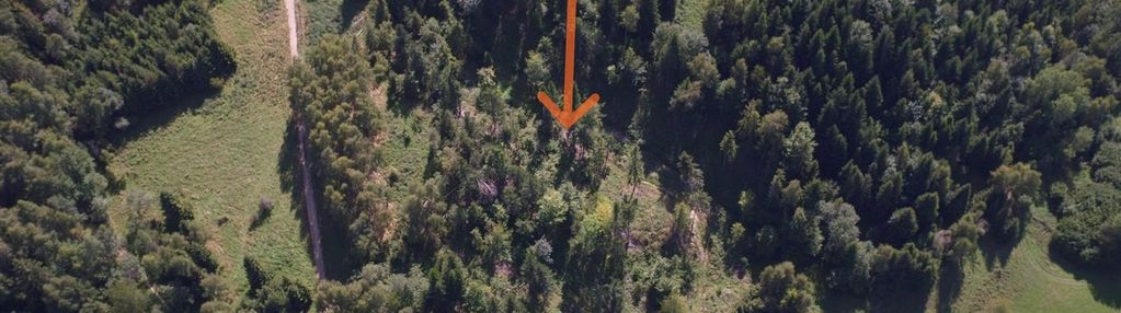 Duża działka rolno-leśna w rejonie ulicy beskid