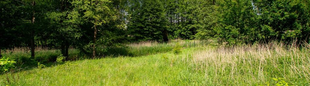 Działka skórka, gmina krajenka pow. 1741 m2, rzeka