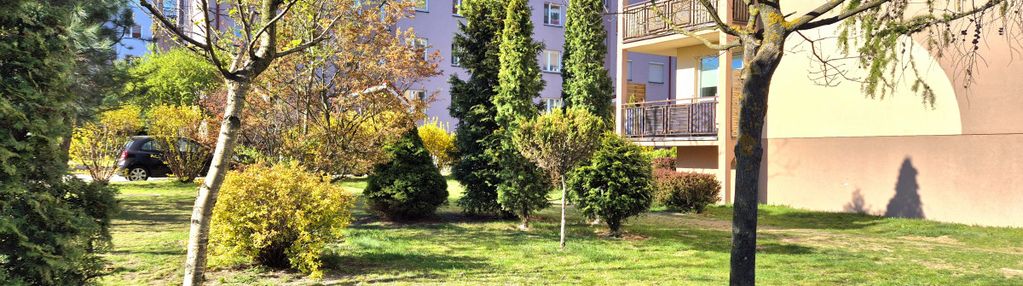 Zielony romanów z możliwością 3 pokoi + garaż