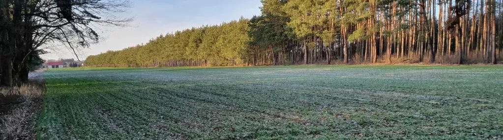 Działka na sprzedaż 1056m2