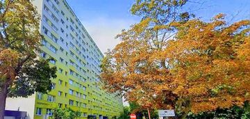 Możliwy dwupak lub 3 pok | balkon