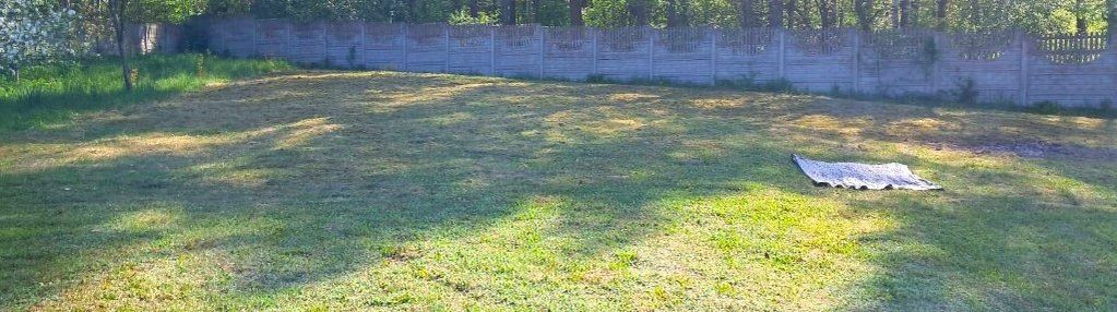 Działka budowlana bezpośrednio obok lasu, borków