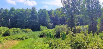 Działka z potencjałem mników 1,14 ha+19 a budowl.