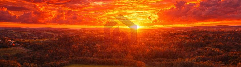 Najpiekiejsze działki pod lasem z wz!