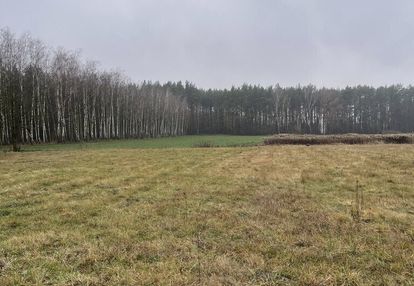 Działka bud. 4113 m² w sierakowie koło radzymina.