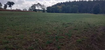 Działka na sprzedaż 1200m2