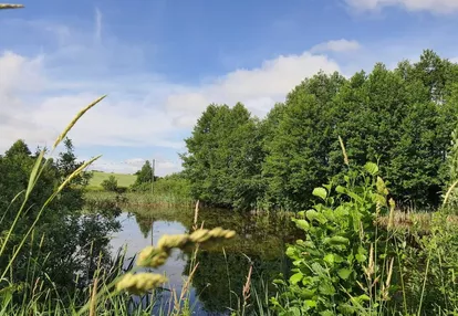 Działka na sprzedaż 2000m2