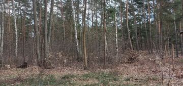 Radość rezydencyjna działka 3050m2 zbójna góra