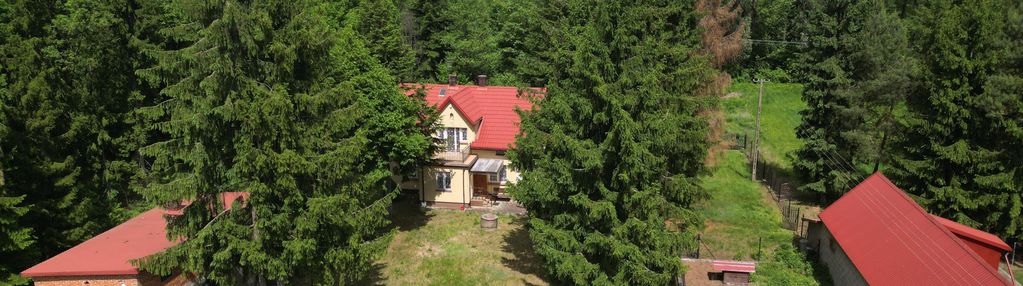 Siedlisko z domem 7,22 ha, mogowo, obok nasielska.