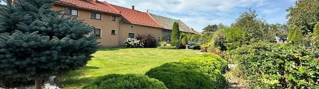 Bukowie – kompleks budynków na dużej działce!