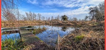 Działka 1,5 ha ze stawem w parku krajobrazowym