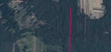 Las o powierzchni 5000 m2 józefów widawski
