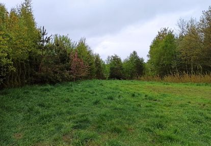 Pakiet dwóch działek w leśnie (wz-ka z 2025r.)