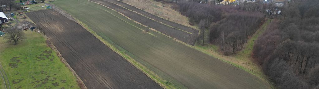 Wielorodzinna, las, 5 min do mikołowa, spokój