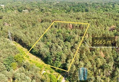 Luksusowa działka nas świdrem | 5665 m² - józefów