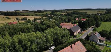 Duża działka z lasem
