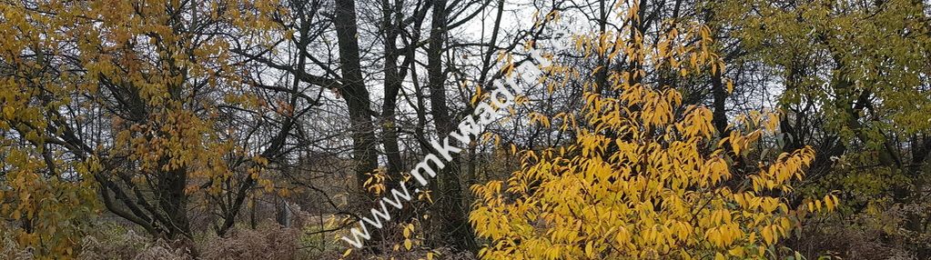 Działka z pozwoleniem na budowę dom 2 lokalowy