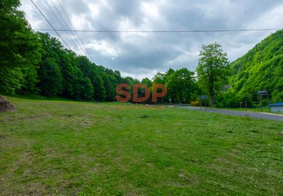 Działka w spokojnej okolicy | zagórze śląskie