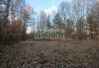 Urokliwa działka ojrzanów, las