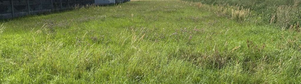 Działka siedliskowo-zagrodowa z rolą