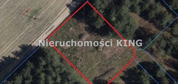 Działka w fordonie, 2150m2, ul. grussa, okazja