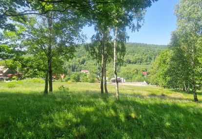 Działka