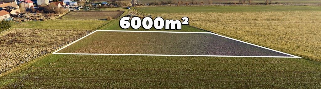 Okazja cenowa! duża działka - chocianowiec