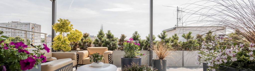Penthouse z imponującym tarasem