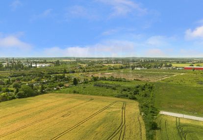 Strefa ekonomiczna: usługi, produkcja, przemysł