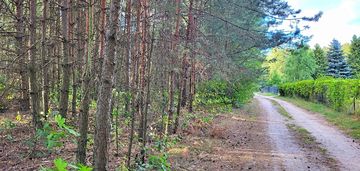 Cisza, natura i jeziora – rogóźno czeka