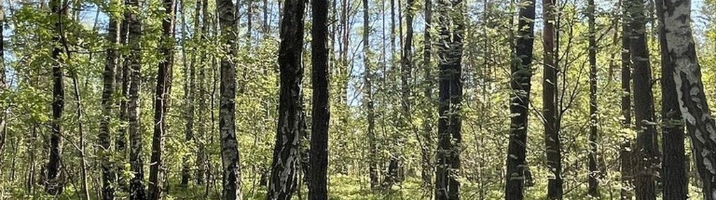 Działki na sprzedaż – ciemne k. radzymina