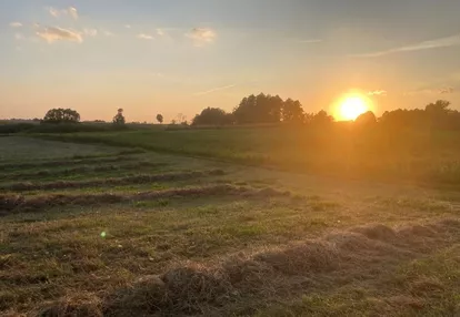 Działka na sprzedaż 6000m2