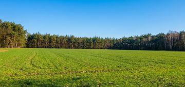 Śródborze – 12,85 ha z wz przy s7
