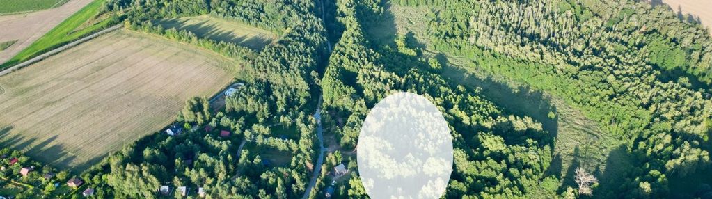 Atrakcyjne działki nad stawem w debrznie! mpzp