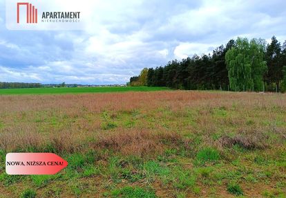 Morzewiec 1022m cisza spokój ściana lasu