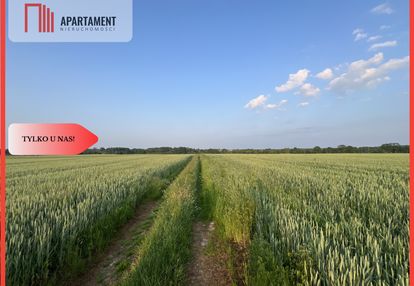 Piękne działki budowlane pod bolesławcem! kruszyn