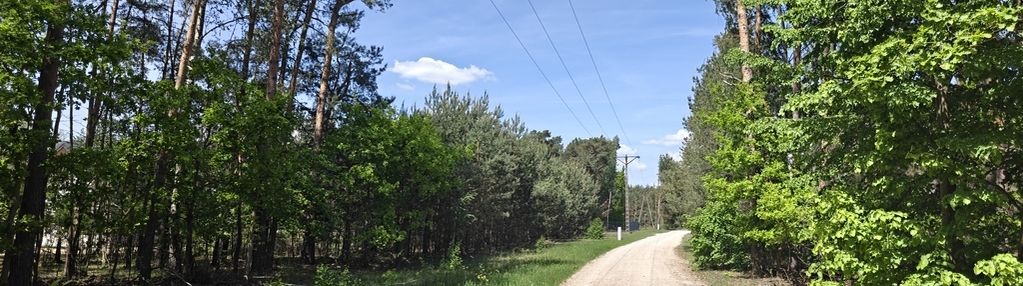 Krzyżówka_urokliwa działka z potencjałem !