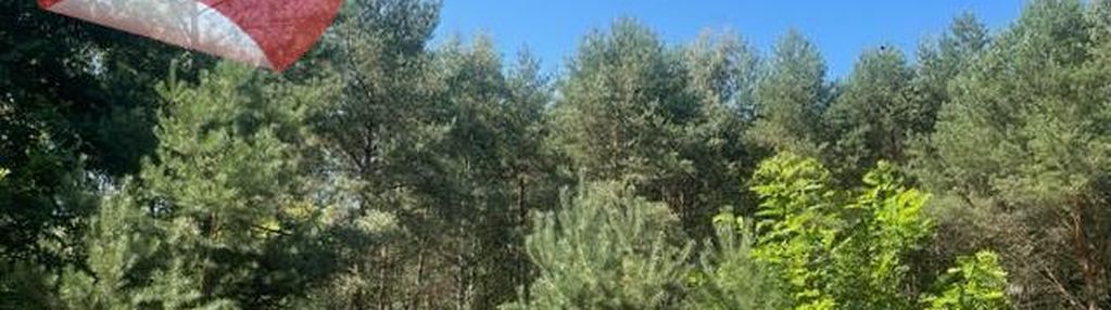 Działka letniskowa 1083 m² przy lesie, prąd