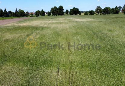 57 arów - mpzp - rawicz sarnowa