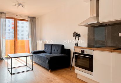 Dwupokojowe mieszkanie w centralna park!