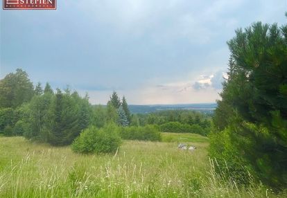 Działka z budynkiem pensjonatowym.