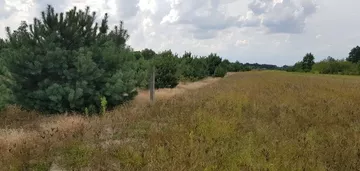 Działka na sprzedaż 9700m2