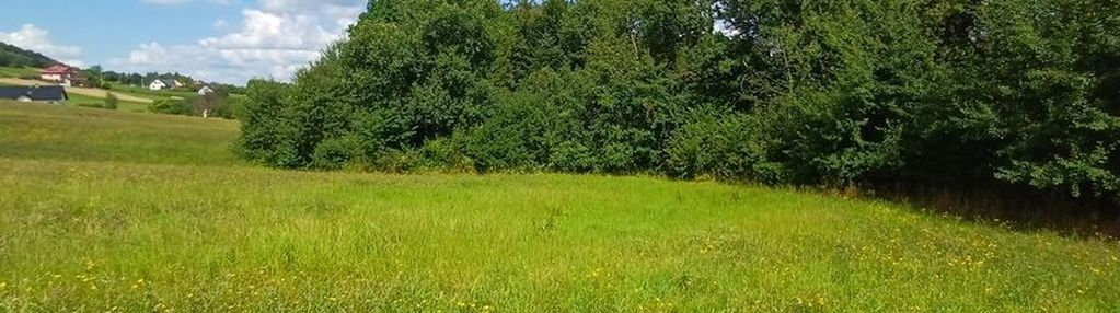 Działka budowlana w wielogłowach 12,8ar.