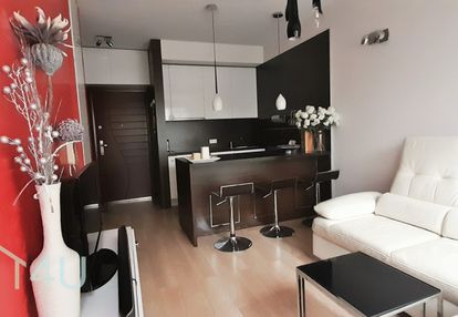 2-pok. mieszkanie do wynajęcia, katowice brynów