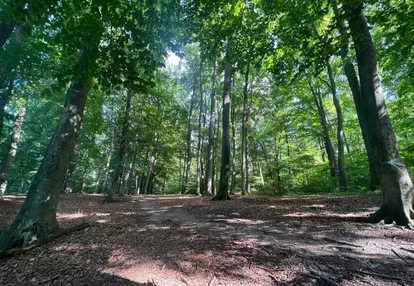 Działka na sprzedaż 600m2