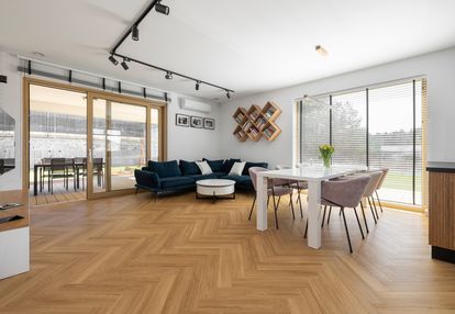 Nowoczesny dom premium - gdynia