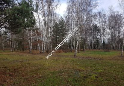 Działka na granicy lasu