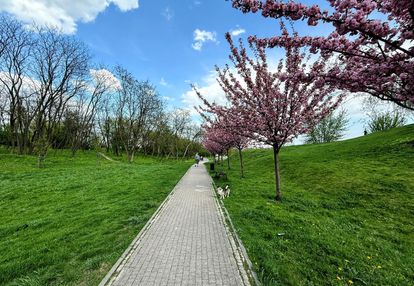 Piękne m ! idealny widok z mieszkania ! okazja